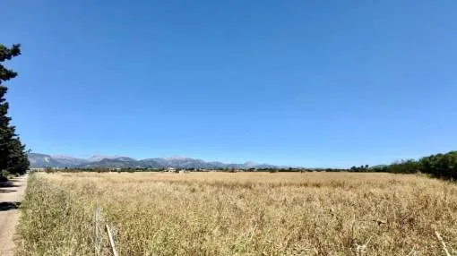 Venta de Solar en Sencelles