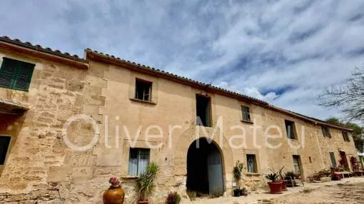 VENTA DE FINCA RUSTICA CON 124 HECTÁREAS EN MAIORIS