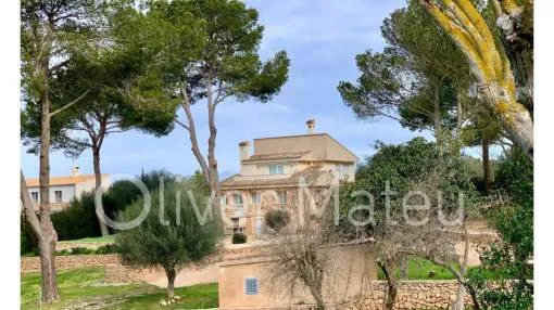 CASA REFORMADA DE DISEÑO EN S'ARANJASSA