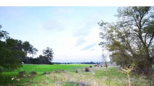 FINCA RÚSTICA A LAS AFUERAS DE MARIA DE LA SALUT