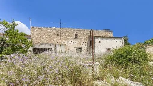 Gran parcela de campo a poca distancia del pueblo en venta Campanet, Mallorca