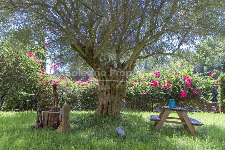 Precioso apartamento con jardín en venta en una zona tranquila de Sol de Mallorca