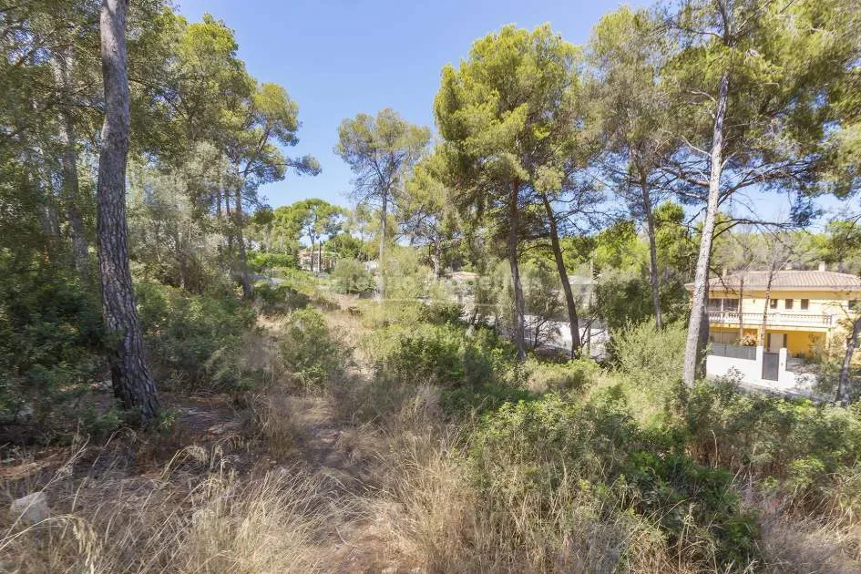 Se vende parcela residencial deseable cerca de Santa Ponsa, Mallorca