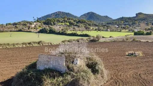 Terreno rústico con opción a construir, en venta en Alcudia, Mallorca.