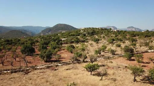 Oportunidad rara: Solar con licencia a la venta cerca de Santa Maria, Mallorca Oportunidad rara: Solar con licencia a la venta cerca de Santa Maria, Mallorca
