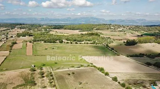 Parcela rural tranquila con vistas panorámicas en venta en Sineu, Mallorca