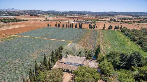 Finca rústica cerca de Sa Pobla en Mallorca Finca rústica cerca de Sa Pobla en Mallorca
