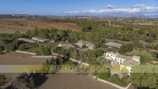 Gran finca agrícola a reformar en zona muy tranquila Gran finca agrícola a reformar en zona muy tranquila