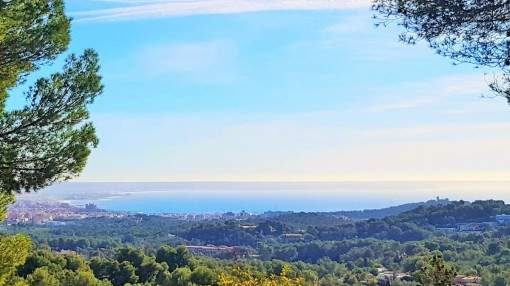 Uno de los últimos terrenos con vistas al mar en la parte alta de Son Vida con vistas panorámicas
únicas de la Bahía de Palma Uno de los últimos terrenos con vistas al mar en la parte alta de Son Vida con vistas panorámicas
únicas de la Bahía de Palma