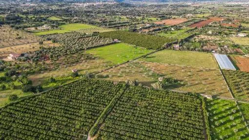 Fantástico proyecto de desarrollo en Buger: 6 parcelas en la parte rural de Mallorca para casas de campo independientes