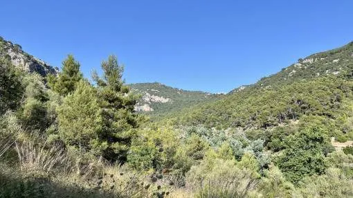Excepcional terreno con vistas y licencia en vigor
