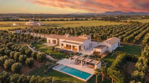 Finca de lujo rural con piscina y olivar – obra nueva terminada cerca de Es Trenc y Sa Ràpita