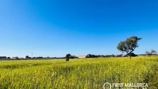 Terreno rustico con licencia y proyecto