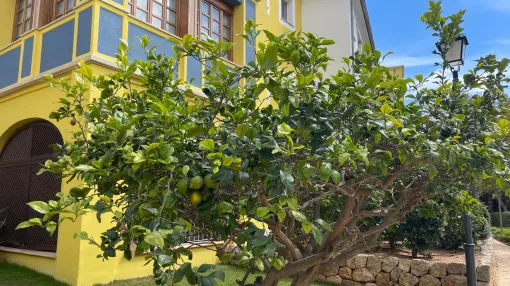 Elegante apartamento de dos habitaciones en una comunidad de lujo en Bendinat.