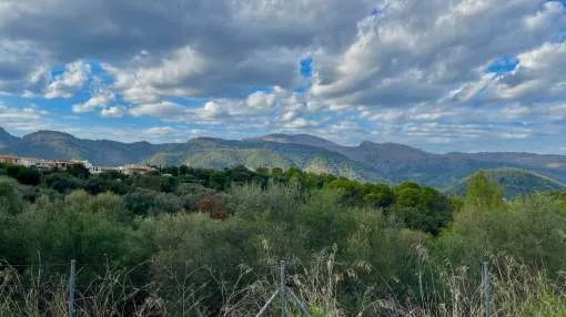 Parcela excepcional con vistas a la montaña en Campanet, Mallorca