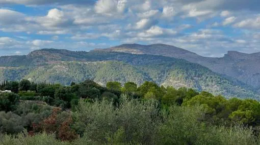 Parcela excepcional con vistas a la montaña en Campanet, Mallorca