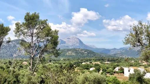 Terreno en una ubicación entre Pollensa y Puerto Pollensa Terreno en una ubicación entre Pollensa y Puerto Pollensa